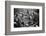 Bethnal Green Wast London Street Pet Market 1946-George Greenwell-Framed Photographic Print