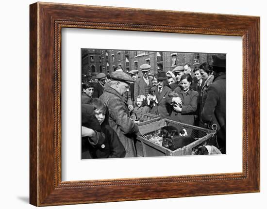 Bethnal Green Wast London Street Pet Market 1946-George Greenwell-Framed Photographic Print