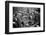 Bethnal Green Wast London Street Pet Market 1946-George Greenwell-Framed Photographic Print