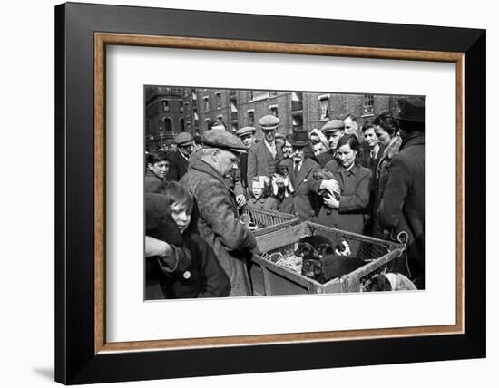 Bethnal Green Wast London Street Pet Market 1946-George Greenwell-Framed Photographic Print