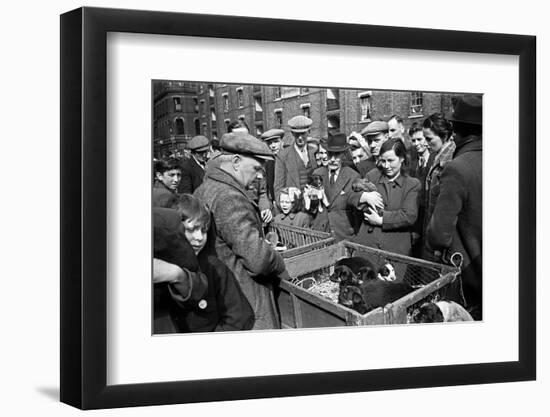 Bethnal Green Wast London Street Pet Market 1946-George Greenwell-Framed Photographic Print