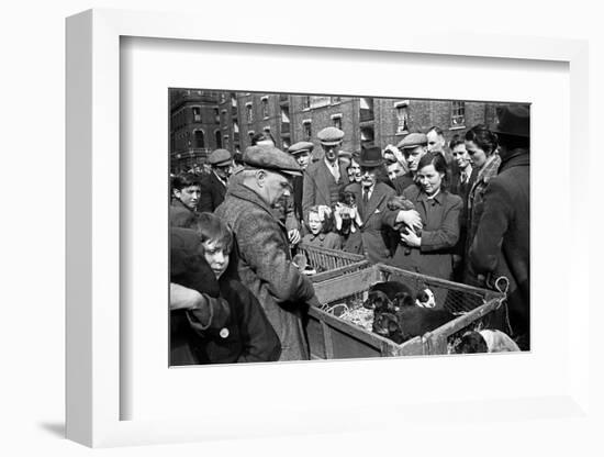 Bethnal Green Wast London Street Pet Market 1946-George Greenwell-Framed Photographic Print