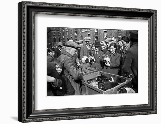 Bethnal Green Wast London Street Pet Market 1946-George Greenwell-Framed Photographic Print