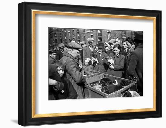 Bethnal Green Wast London Street Pet Market 1946-George Greenwell-Framed Photographic Print