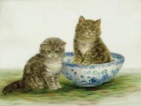 Kitten in a Blue China Bowl-Betsy Bamber-Mounted Giclee Print