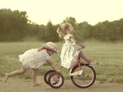 Betsy Cameron Wall Art: Prints, Paintings & Posters | Art.com