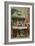 Betsy Ross House, Philadelphia, Pennsylvania-null-Framed Premium Giclee Print