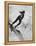 Betsy Snite During Winter Olympics-Ralph Crane-Framed Premier Image Canvas