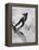 Betsy Snite During Winter Olympics-Ralph Crane-Framed Premier Image Canvas