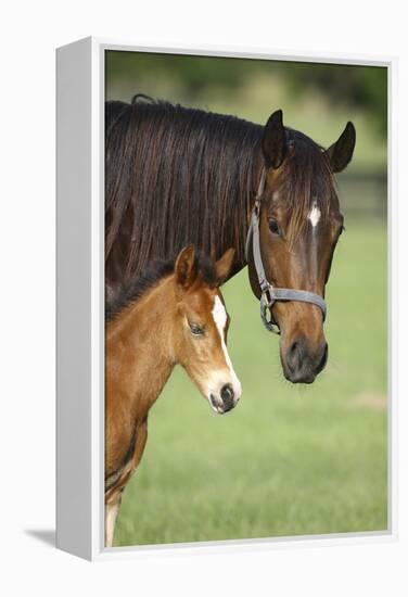 Bett-Bob Langrish-Framed Premier Image Canvas