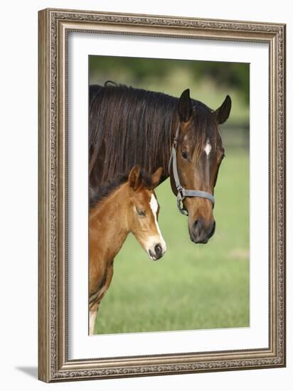 Bett-Bob Langrish-Framed Photographic Print