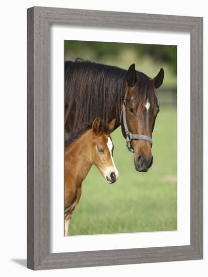 Bett-Bob Langrish-Framed Photographic Print