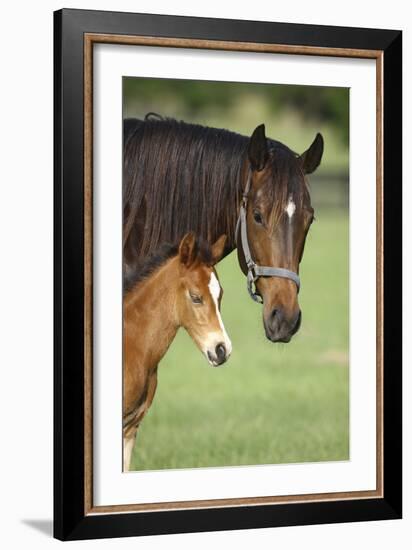 Bett-Bob Langrish-Framed Photographic Print