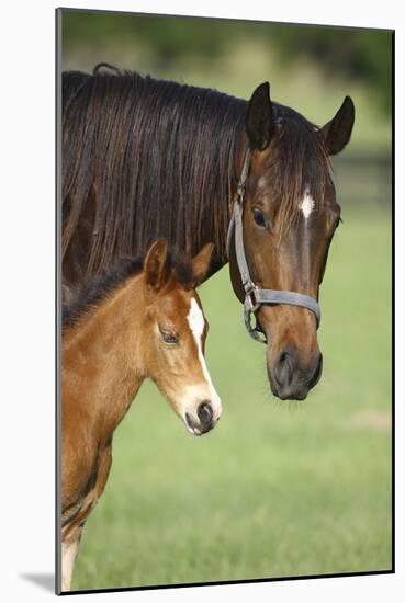 Bett-Bob Langrish-Mounted Photographic Print