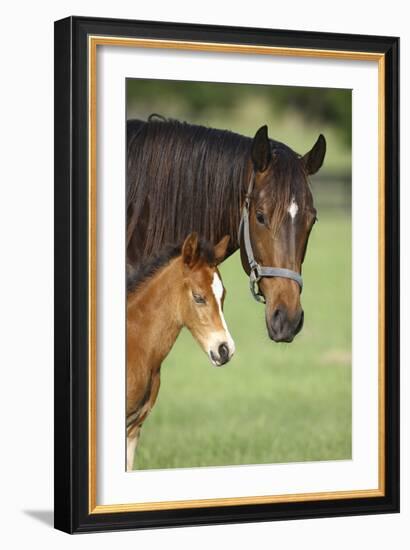 Bett-Bob Langrish-Framed Photographic Print