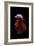 Betta Fish, Indonesia-Kuritafsheen-Framed Photographic Print