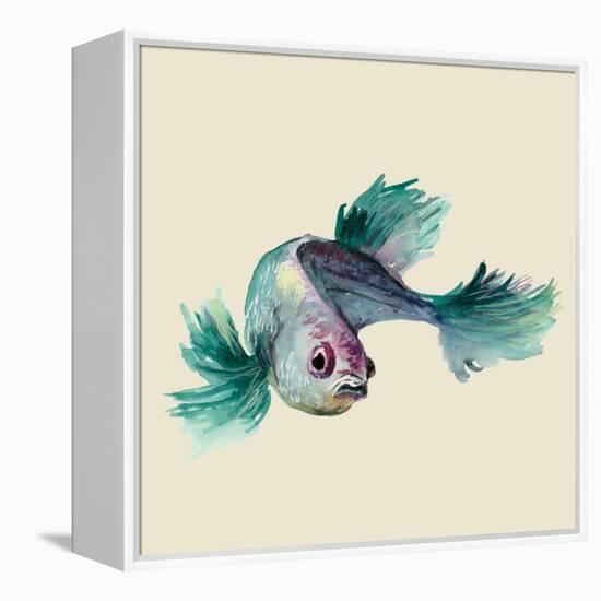 Betta Fish-Jacob Q-Framed Stretched Canvas