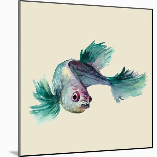 Betta Fish-Jacob Q-Mounted Art Print