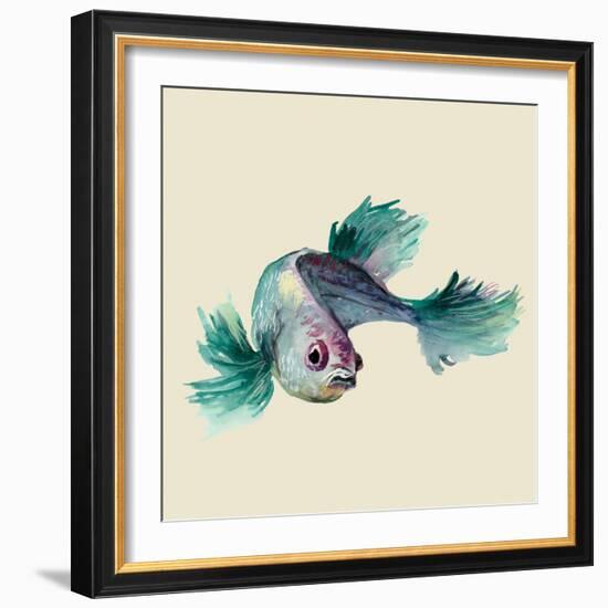 Betta Fish-Jacob Q-Framed Art Print