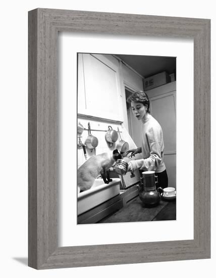 Bettina Graziani Prepares Coffee in Her Kitchen with One of Her Siamese Cats, Paris, France, 1952-Nat Farbman-Framed Photographic Print