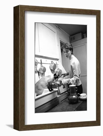 Bettina Graziani Prepares Coffee in Her Kitchen with One of Her Siamese Cats, Paris, France, 1952-Nat Farbman-Framed Photographic Print