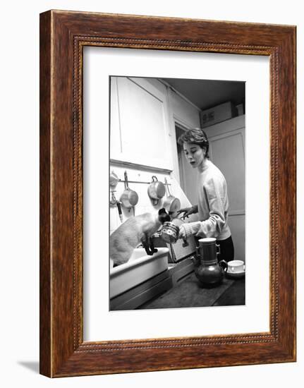 Bettina Graziani Prepares Coffee in Her Kitchen with One of Her Siamese Cats, Paris, France, 1952-Nat Farbman-Framed Photographic Print