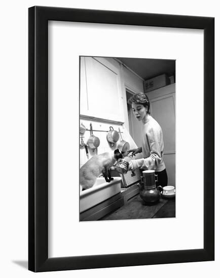 Bettina Graziani Prepares Coffee in Her Kitchen with One of Her Siamese Cats, Paris, France, 1952-Nat Farbman-Framed Photographic Print