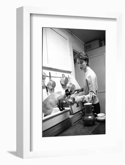 Bettina Graziani Prepares Coffee in Her Kitchen with One of Her Siamese Cats, Paris, France, 1952-Nat Farbman-Framed Photographic Print