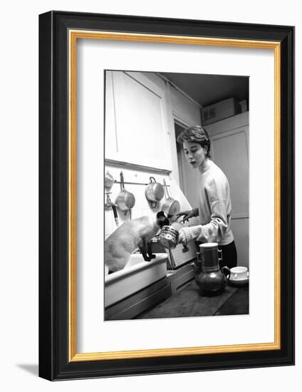 Bettina Graziani Prepares Coffee in Her Kitchen with One of Her Siamese Cats, Paris, France, 1952-Nat Farbman-Framed Photographic Print