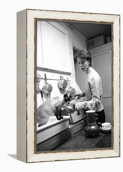 Bettina Graziani Prepares Coffee in Her Kitchen with One of Her Siamese Cats, Paris, France, 1952-Nat Farbman-Framed Premier Image Canvas