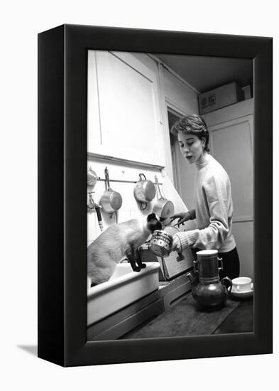 Bettina Graziani Prepares Coffee in Her Kitchen with One of Her Siamese Cats, Paris, France, 1952-Nat Farbman-Framed Premier Image Canvas