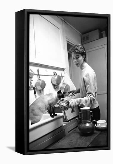 Bettina Graziani Prepares Coffee in Her Kitchen with One of Her Siamese Cats, Paris, France, 1952-Nat Farbman-Framed Premier Image Canvas