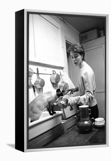 Bettina Graziani Prepares Coffee in Her Kitchen with One of Her Siamese Cats, Paris, France, 1952-Nat Farbman-Framed Premier Image Canvas