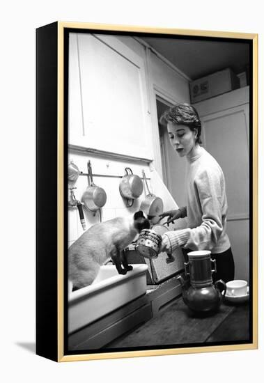 Bettina Graziani Prepares Coffee in Her Kitchen with One of Her Siamese Cats, Paris, France, 1952-Nat Farbman-Framed Premier Image Canvas