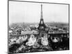 Photographic Print