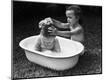 Photographic Print