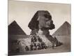 Photographic Print