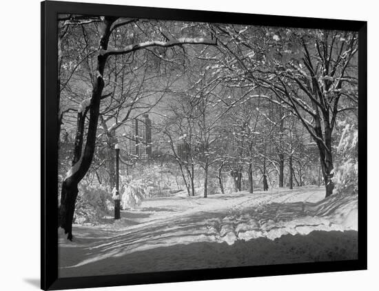 Photographic Print, , large