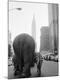 Premium Photographic Print