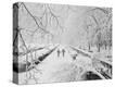 Stretched Canvas Print