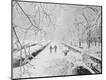 Photographic Print
