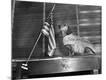 Photographic Print