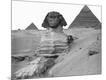 Photographic Print