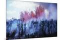Premium Photographic Print