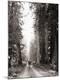 Premium Photographic Print