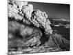 Premium Photographic Print