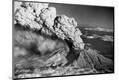 Premium Photographic Print