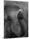 Premium Photographic Print