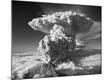 Premium Photographic Print