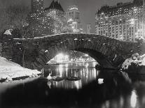 New York Pond in Winter-Bettmann-Photographic Print